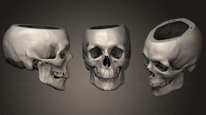 Анатомия скелеты и черепа (Череп Мужской 48лет, ANTM_1286) 3D модель для ЧПУ станка